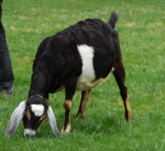 People inside a building